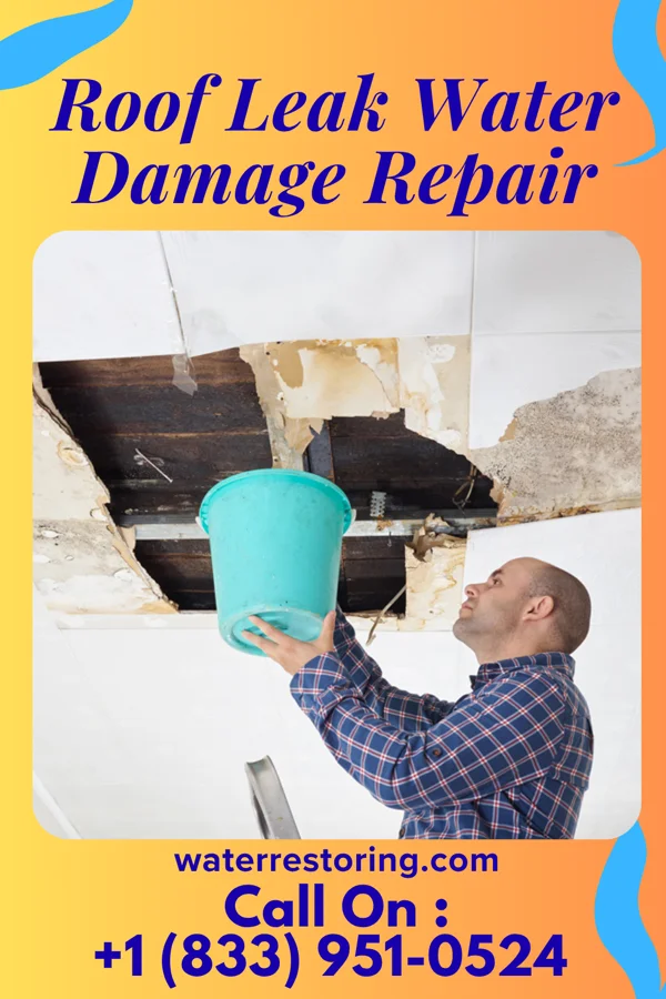 Roof Leak Water Damage Repair in Toco, TX